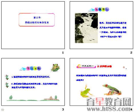 两栖动物的生殖和发育ppt19 人教版