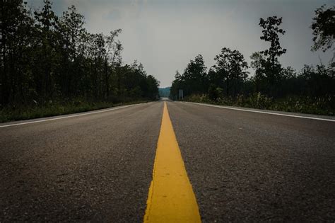 Premium Photo Surface Level Of Road Along Trees