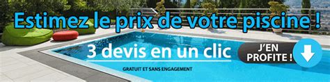 Estimez Le Co T De L Entretien De Votre Future Piscine