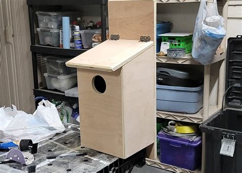 Eastern Screech Owl Nest Box : woodworking