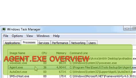 Agent Exe What Is It