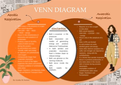 Aerobic Anaerobic Venn Diagram Aerobic Venn Docx