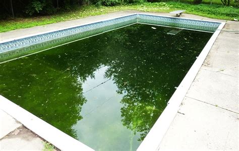 Fix A Green Pool In 5 Easy Steps Get Rid Of Pool Algae