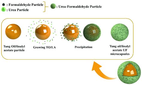 Schematic Illustration Of Steps For The Synthesis Of Urea Formaldehyde