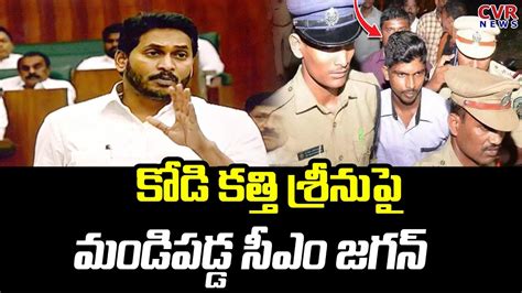 కడ కతత శరన ప మడపడడ సఎ జగన CM Jagan Fires On Kodi Kathi