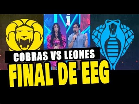 COBRAS Y LEONES LLEGARON A LA FINAL DE ESTO ES GUERRA Y SOLO UNO GANARÁ