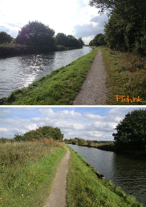 Dunham Massey Canal Side Colour Fishink Walks