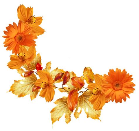 Цветочный уголок с оранжевыми цветами | Flower frame, Flower frame png ...