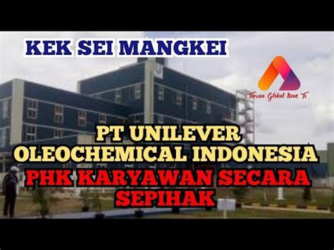 Pt Unilever Oleochemical Sei Mangkei Phk Karyawan Secara Sepihak Youtube