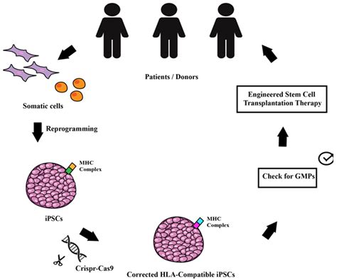 Somatic Gene Therapy