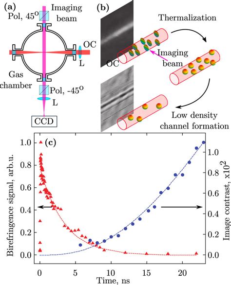 A Experimental Setup For Studying The Relaxation Dynamics Of Super