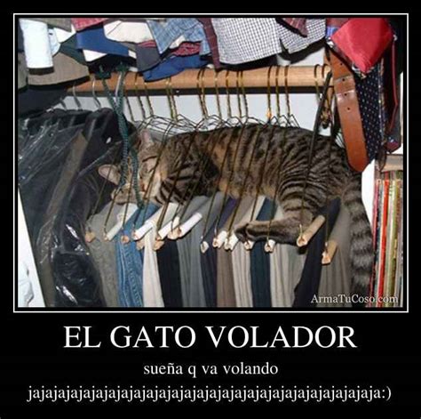 El Gato Volador