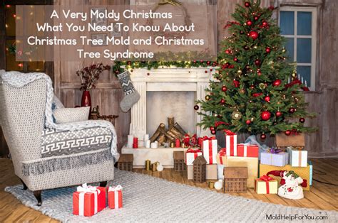 What You Need To Know About Christmas Tree Mold