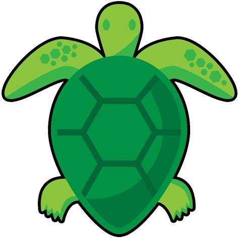 Sea Turtle Florida Sticker By Visit Lauderdale For Ios And Android Giphy