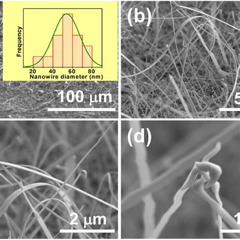 a b Low magnification SEM images of as grown Fe catalysed β Ga2O3