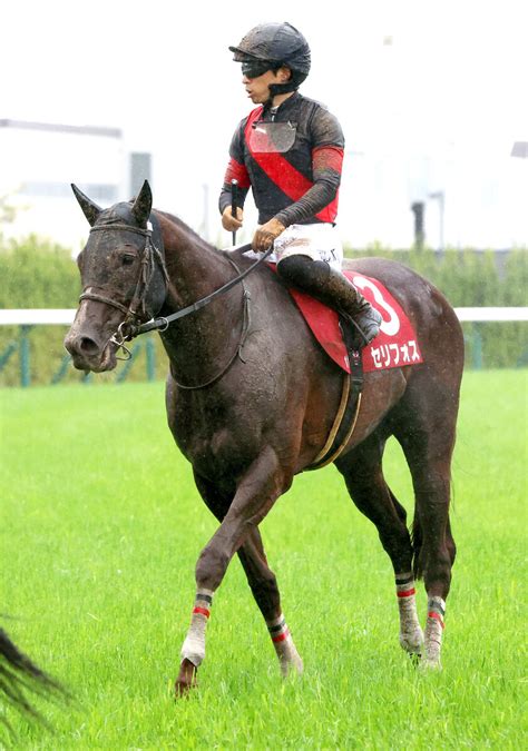 【安田記念】セリフォスはcwコースで好タイム 川田騎手「いい状態で東京競馬場に運べるように」 スポーツ報知