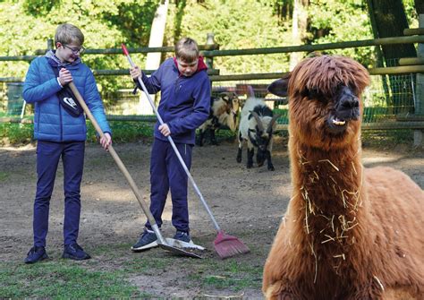 Sommerspa Im Wildpark Schwarze Berge Freizeitpark Erlebnis