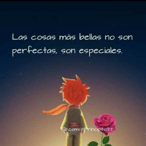 Las Cosas M S Bellas No Son Perfectas Son Especiales Frases