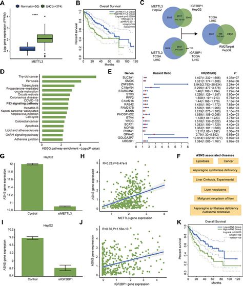 Application Of Rm Target A The Expression Difference Of Mettl