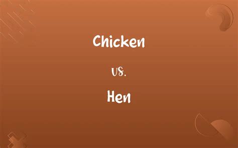 Chicken vs. Hen: Know the Difference