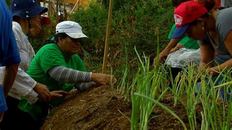 C Mo Implementar Un Sistema De Agroecolog A Tvagro Por Juan Gonzalo