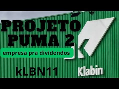 KLABIN MELHOR EMPRESA PRA INVESTIR EM 2023 KLBN11 PROJETO PUMA II