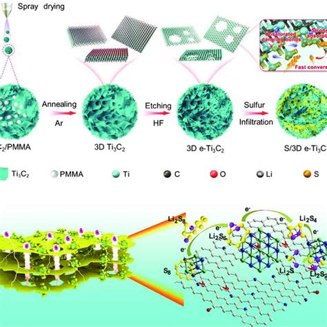 Schematic Representation Of The Polysulfide Shuttle Effect In Li S