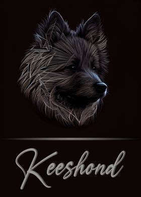 Adorable Keeshond Poster By Artistic Paradigms Displate