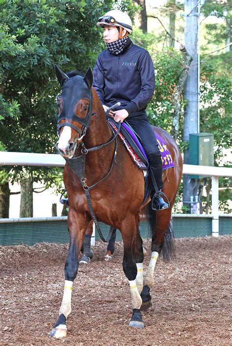 【注目馬動向】ドルチェモアはニュージーランドt、nhkマイルcで横山和生騎手と再コンビ スポーツ報知