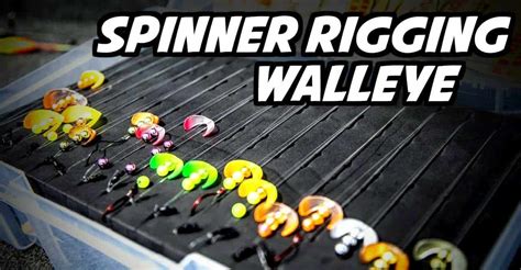 How To Spinner Rig For Walleye Advanced Tips Anglingbuzz