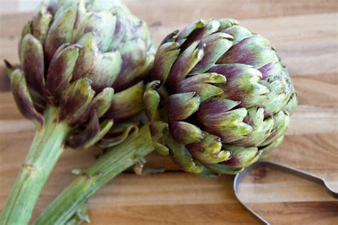 How To Prepare And Cook Artichokes Irena Macri Food Fit For Life