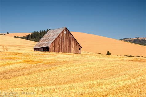 Walla Wallas Rolling Wheat Fields Country Roads Take Me Home Walla