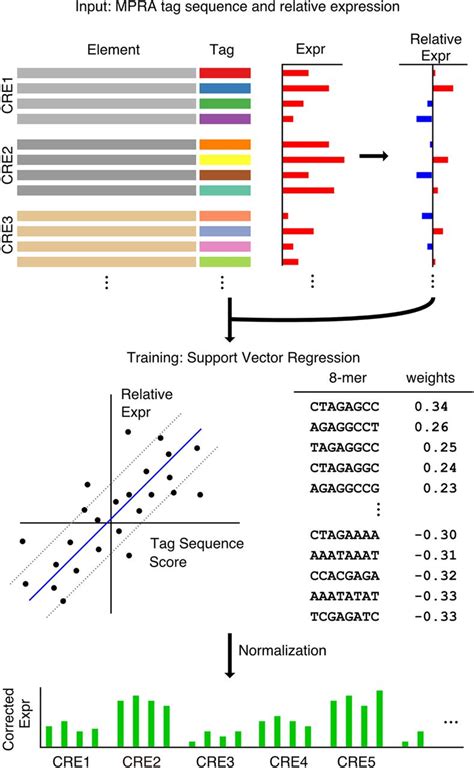 Sequence Based Correction Of Barcode Bias In Massively Parallel Reporter Assays