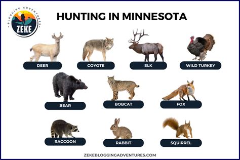 Minnesota Deer Hunting Season News Ola Lauryn