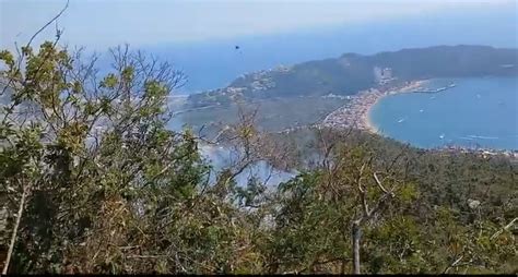 Al Por Ciento La Sofocaci N De Incendio Forestal Del Parque Nacional