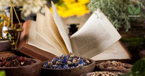 Rasayana Therapy Of Ayurveda Balance Of Bodily Fluids