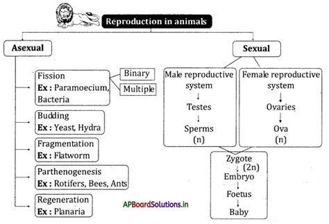 Ap Board 10th Class Biology Notes Chapter 10 Natural Resources Artofit