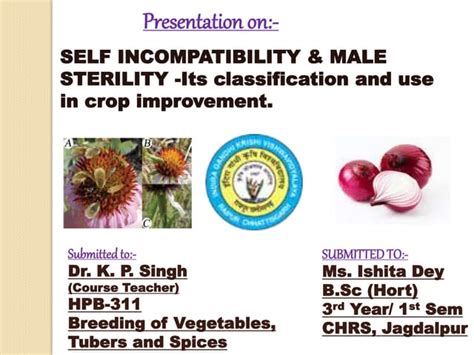 Self Incompatibility And Male Sterility Ppt