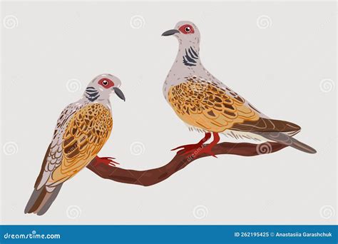 Vector Isolated Illustration Of Two Turtle Doves On A Branch Stock Vector Illustration Of