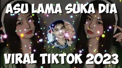 Dj Asu Lama Suka Dia X Ternyata Ko Nama Tania Remix Musik Dj Viral