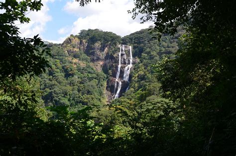 Udzungwa Mountains Park