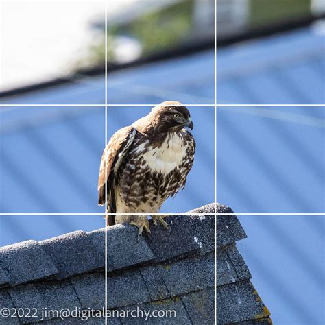 Rule Of Thirds Good And Bad Examples