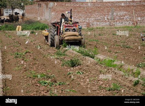 Potato harvesting machine hi-res stock photography and images - Alamy