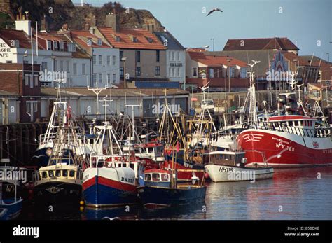 Fishing Fleet In Harbour Whitby North Yorkshire England United Kingdom