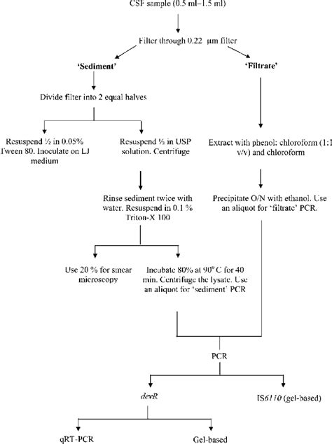 Flow chart of CSF sample processing. | Download Scientific Diagram