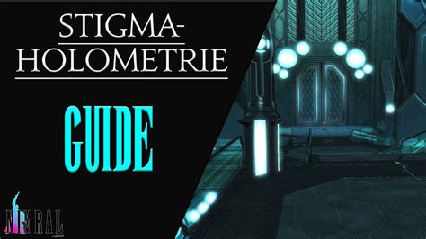 Stigma Holometrie Dungeon Guide Endwalker Tank POV