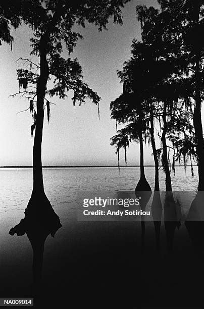 Lake Waccamaw Photos and Premium High Res Pictures - Getty Images