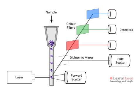 Flow Cytometers Learnhaem Haematology Made Simple