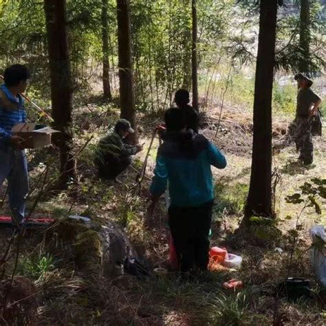 昭通市森林火灾风险普查数据采集质量顺利通过国家和省级验收工作林草普查