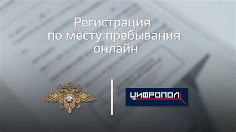 МВД России разъясняет порядок работы нового цифрового сервиса ...
